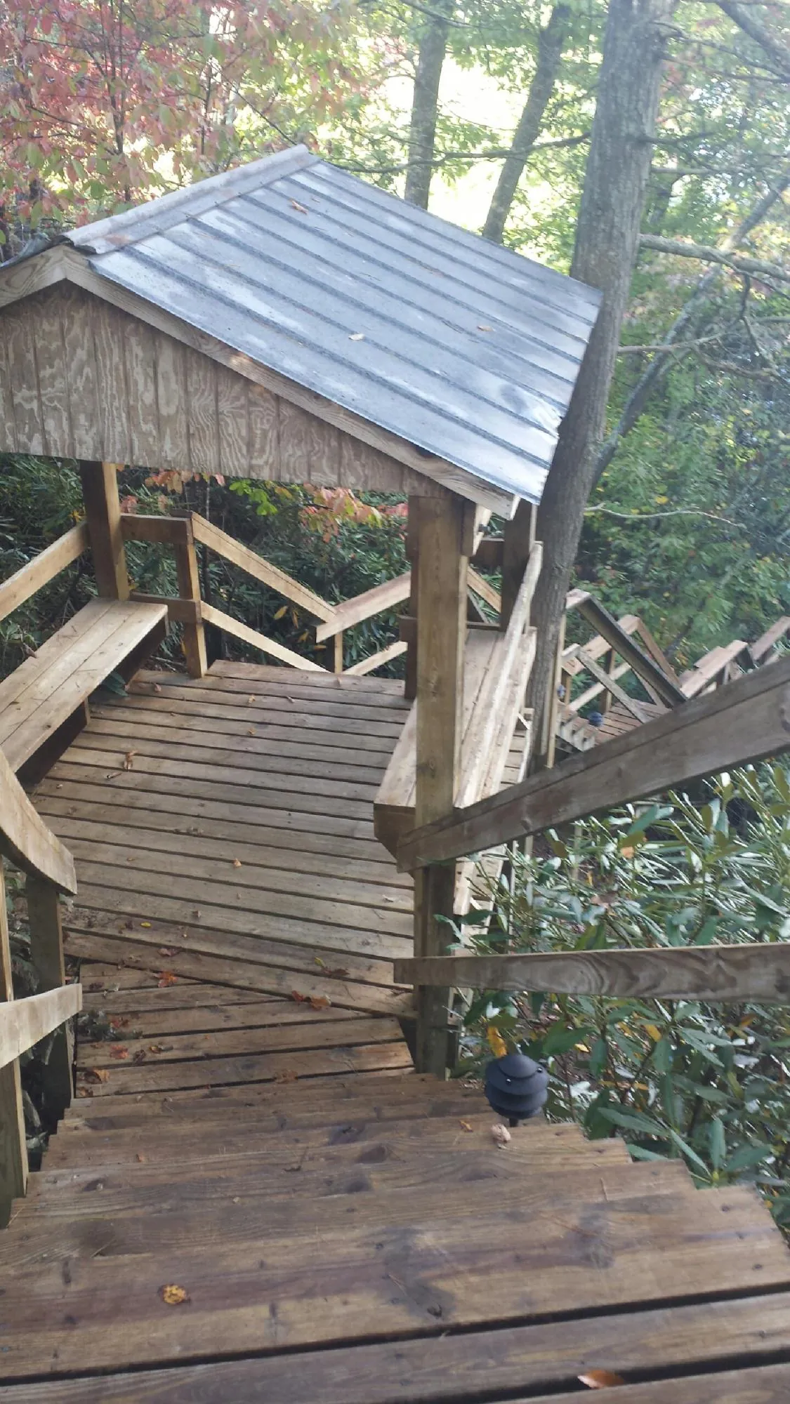 Metal roofed shelter over wooden steps on a wooded walkway — Skylight Repair & Installation work by our crew in Grapeville