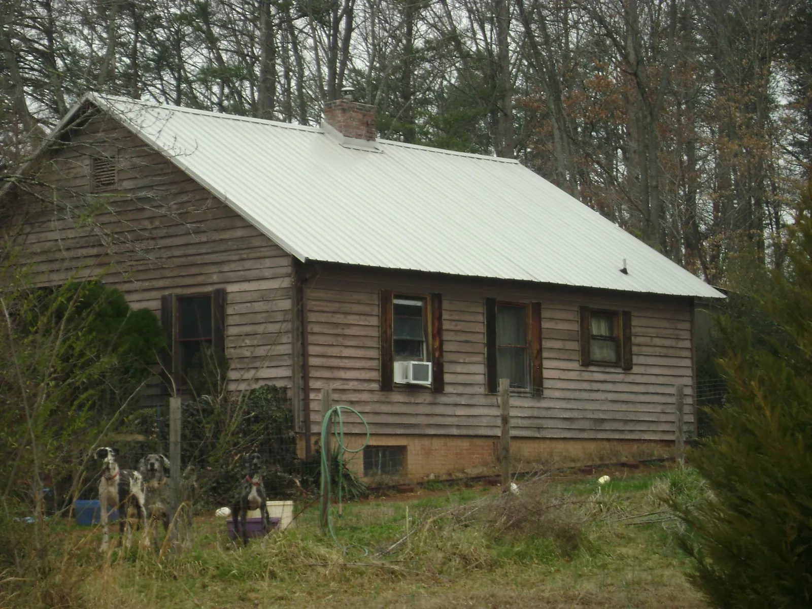 White metal roof on an old wood sided farmhouse, from a Asphalt Shingle Roof Repair job in Grapeville